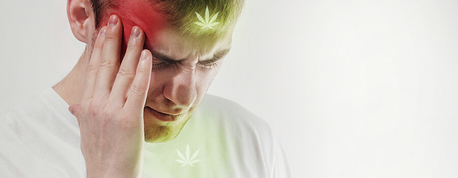 Concussion And Cannabis