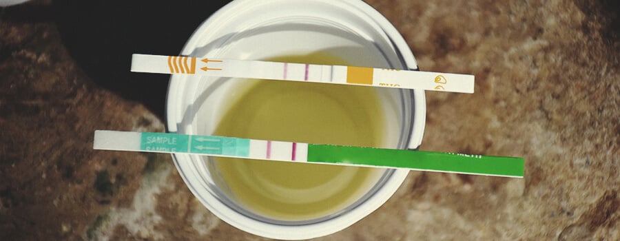 Saliva Drug Testing For THC—What You Need To Know - RQS Blog