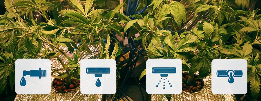 Does Drip Irrigation Save Water?