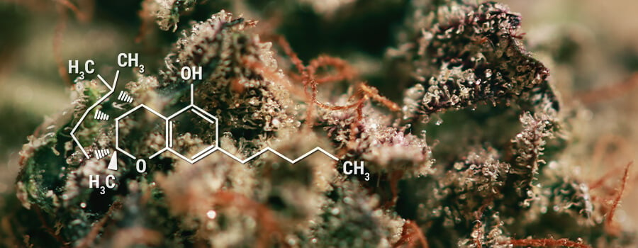 CBL Cannabinoids