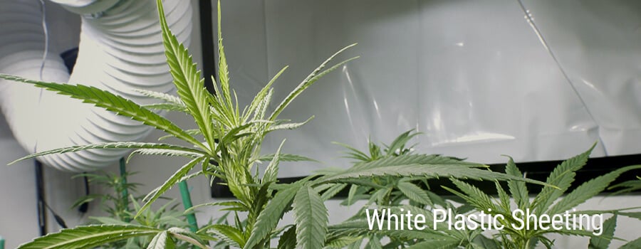 Plastic Sheet Cannabis Grow Tent