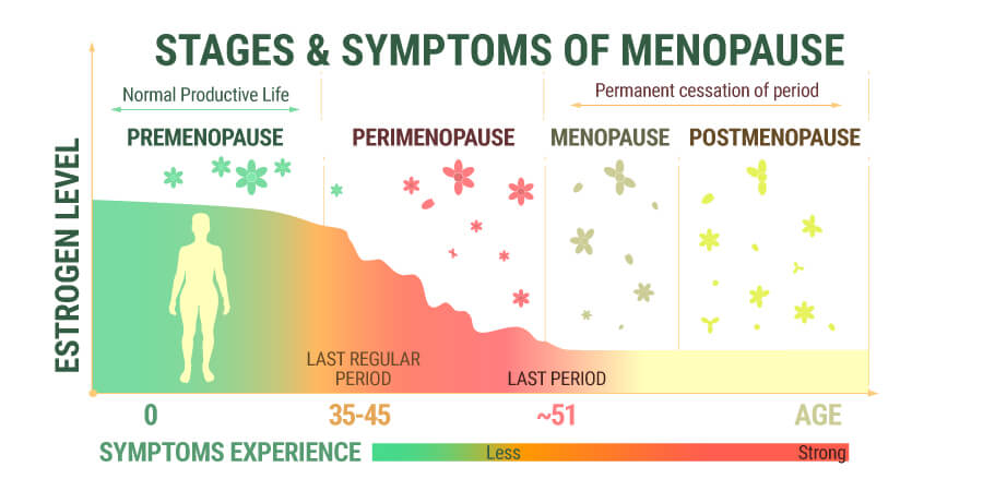 Stages And Symptoms Of Menopause