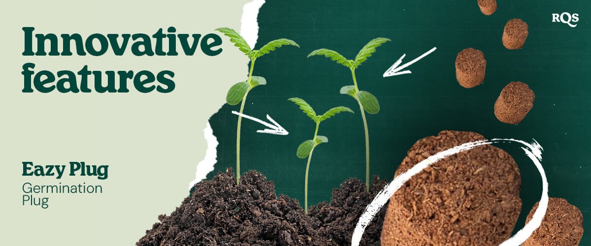 Eazy Plug: Innovative Technology for Seed Germination Image showing Eazy Plug, an innovative germination plug designed to facilitate healthy plant growth. Perfect for fast and efficient germination.