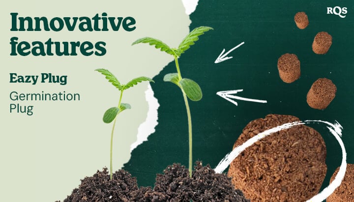 Eazy Plug: Innovative Technology for Seed Germination Image showing Eazy Plug, an innovative germination plug designed to facilitate healthy plant growth. Perfect for fast and efficient germination.