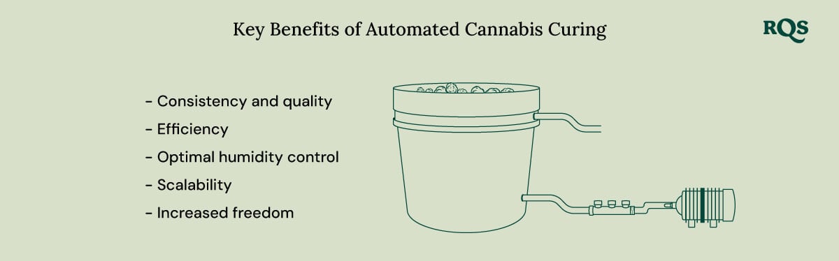 Key benefits of automated cannabis curing