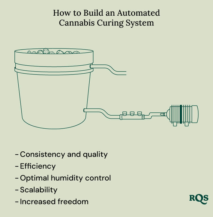 Key benefits of automated cannabis curing