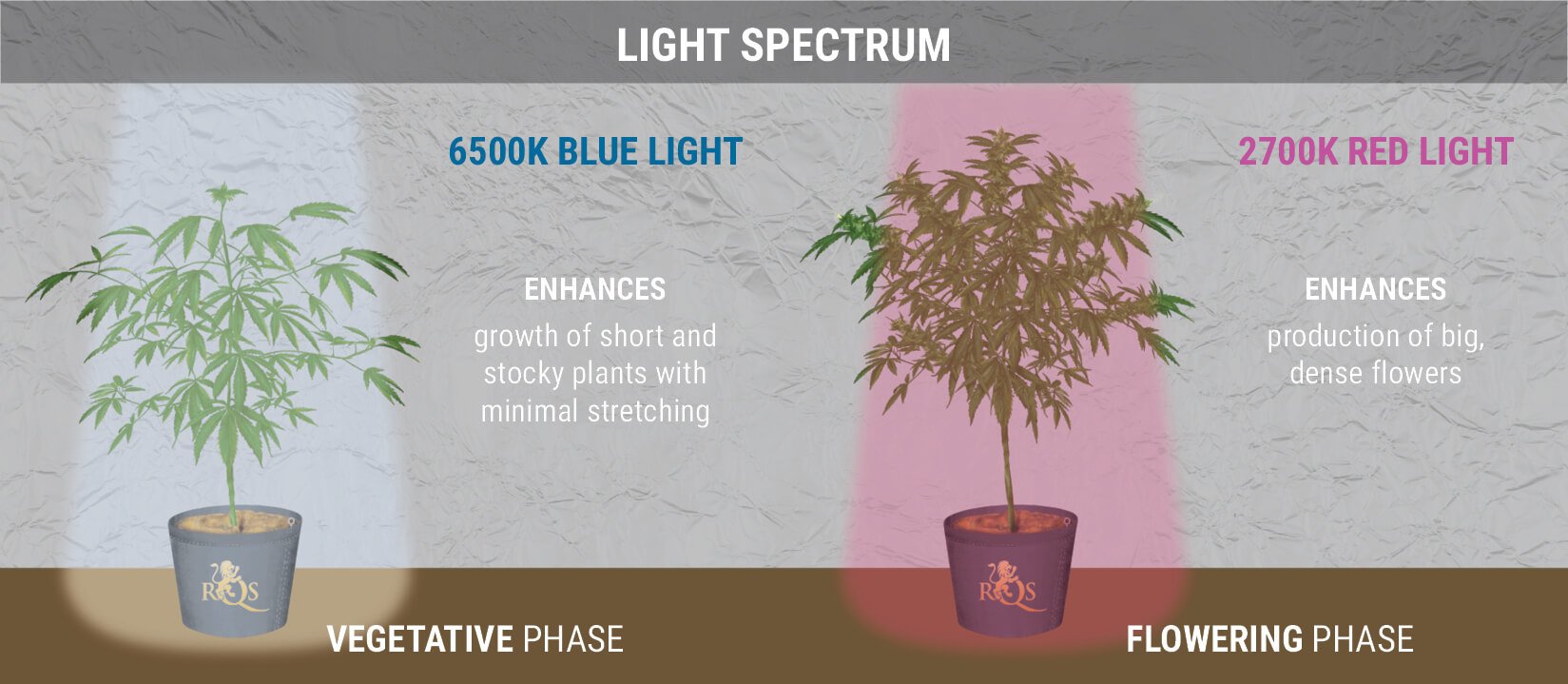 The Light For Cannabis - RQS Blog