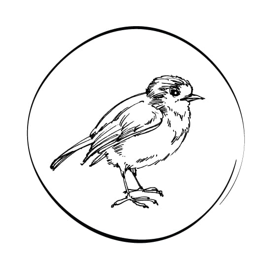 BUILD BIRD PERCHES BUILD BIRD PERCHES