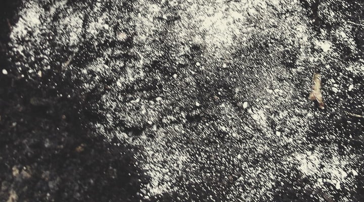 The Best Amendments For Top Dressing The Best Amendments For Top Dressing