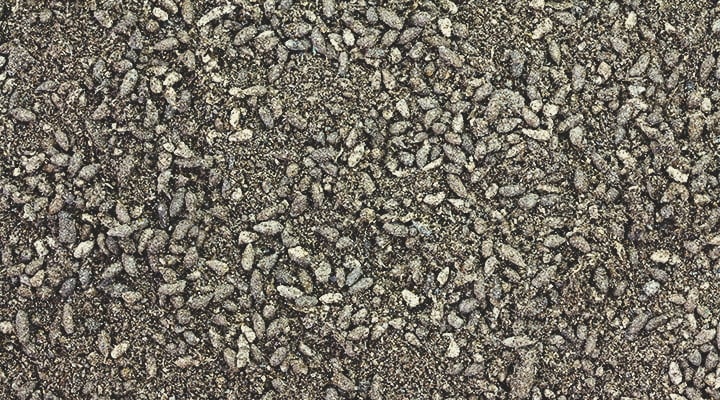 The Best Amendments For Top Dressing The Best Amendments For Top Dressing