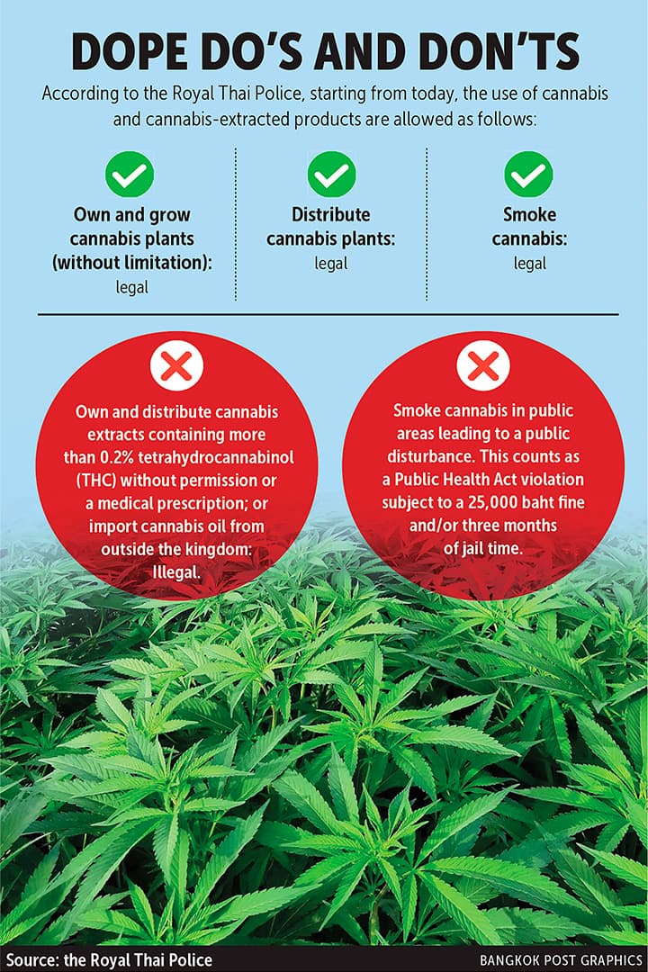 New Weed Laws in Thailand: A Quick Glance