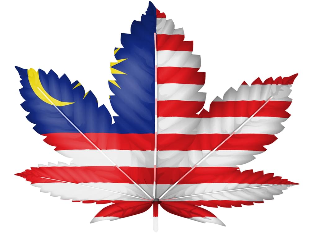 Cannabis in Malaysia Cannabis in Malaysia