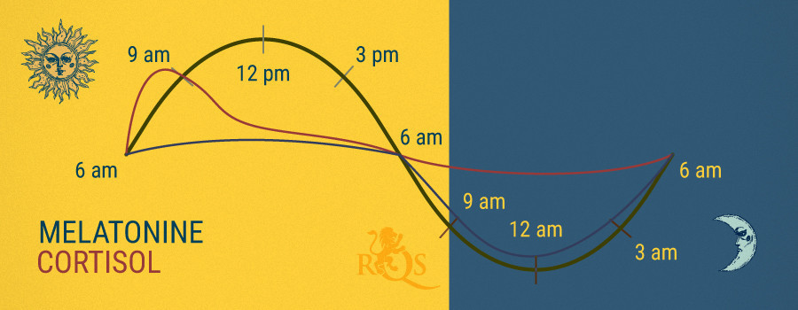 Melatonine and Cortisol Production