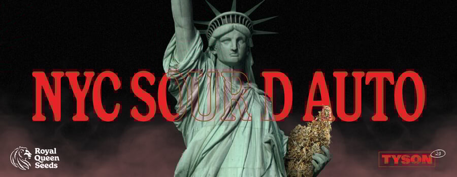 A striking image featuring the Statue of Liberty against a black background, holding a vibrant cannabis bud in her left hand. The bottom of the image includes swirling smoke, and bold red text displays 'NYC Sour D Auto,' the new strain launched in collaboration with Mike Tyson. The Royal Queen Seeds logo appears in the lower left corner, while the Tyson logo is positioned in the lower right corner.
