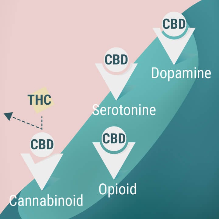 Cannabinoid, opioid, serotonin and dopamine receptors