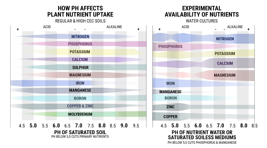 Cannabis Ph Chart