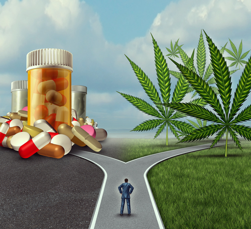 PILL-OR-CANNABIS.jpg
