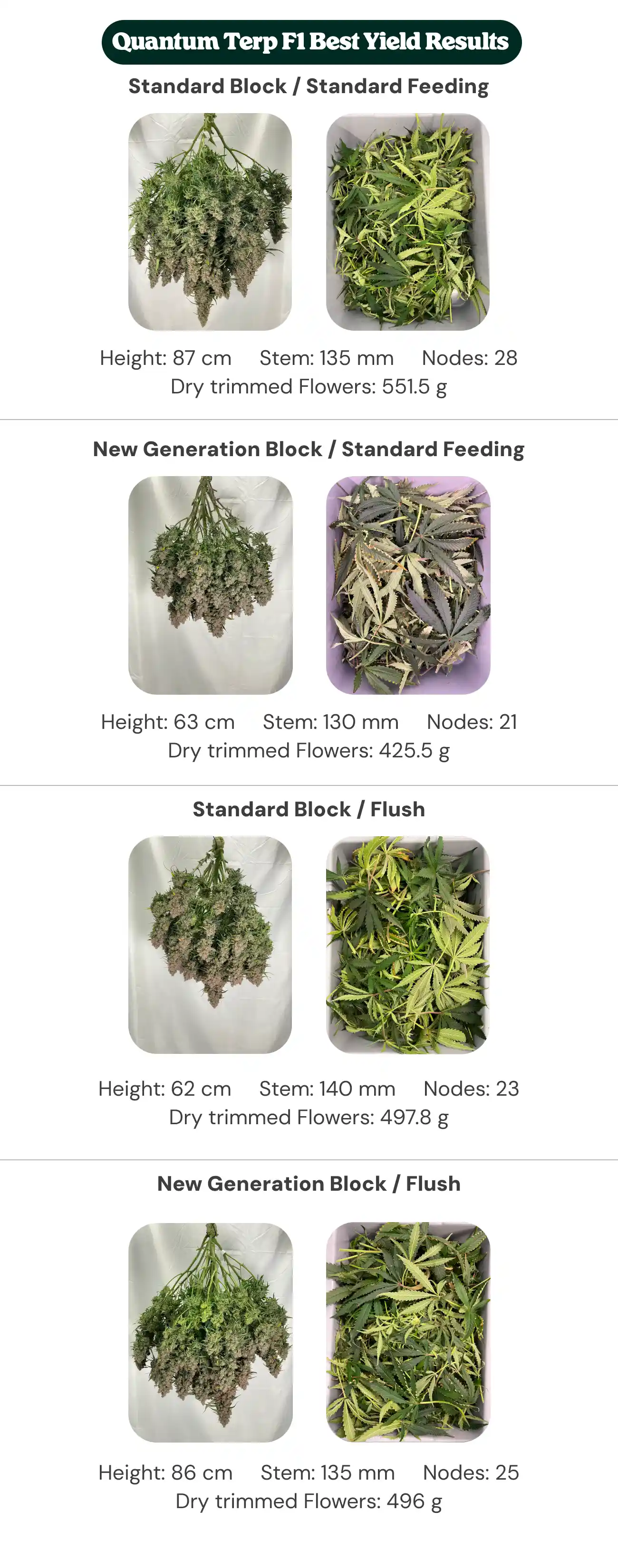 Quantum Terp F1 results overview comparing standard block and new generation block treatments with standard feeding and flush, showing plant height, stem diameter, node count, and dry trimmed flower weight.