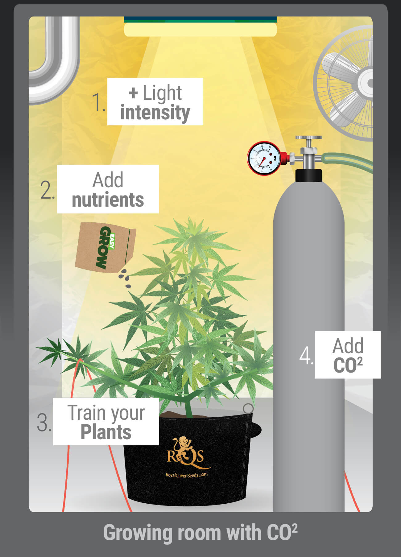 When Should You Use CO₂?