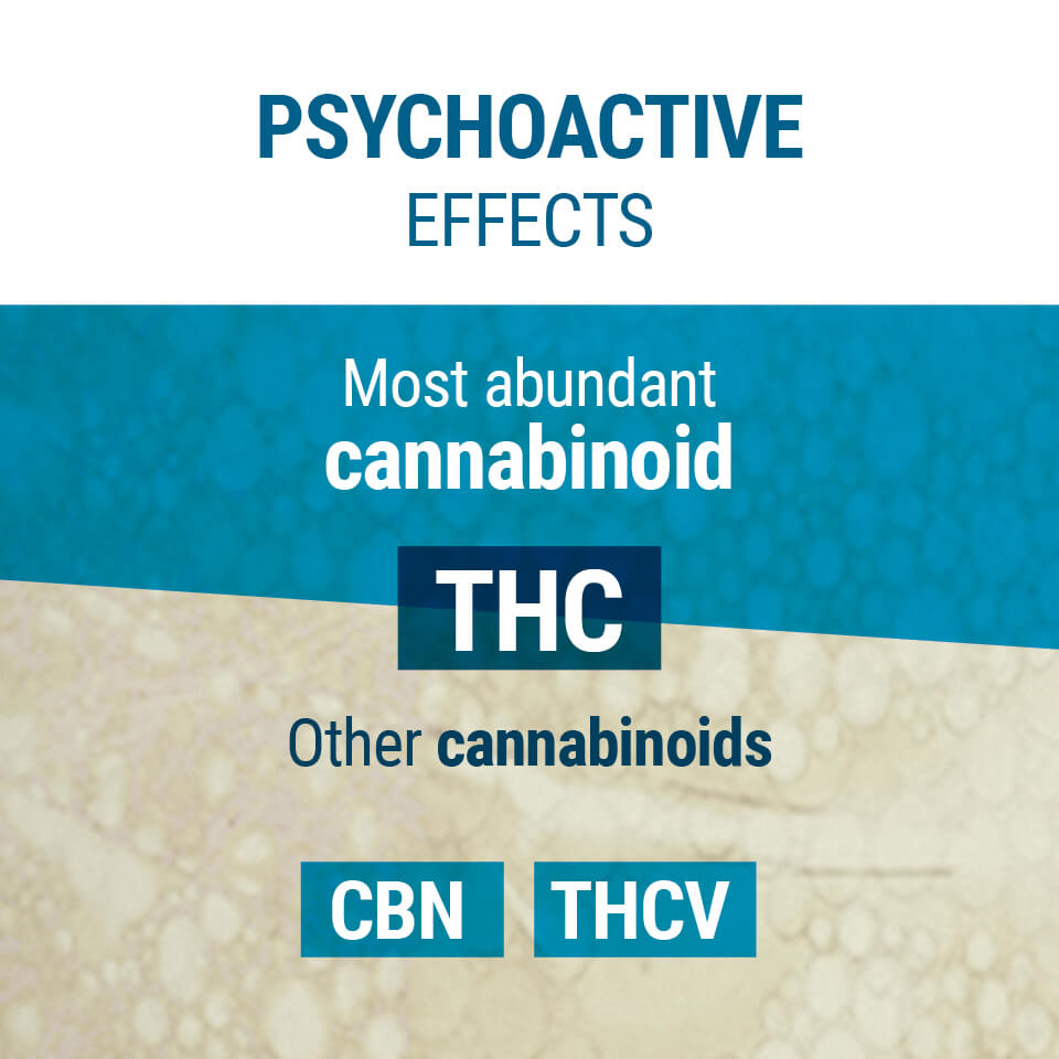 Psychoactive Cannabinoids