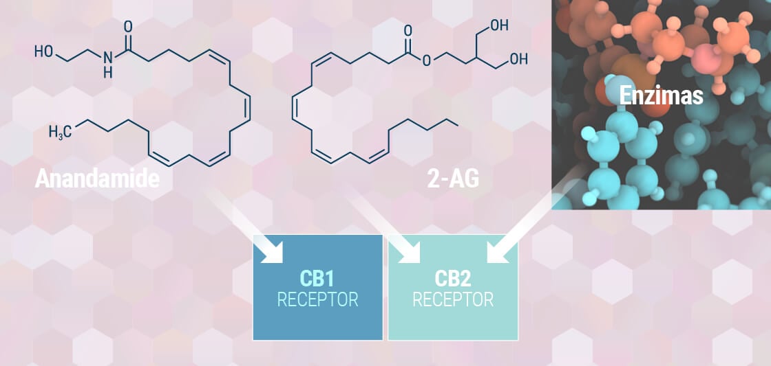 Cannabis as medicine