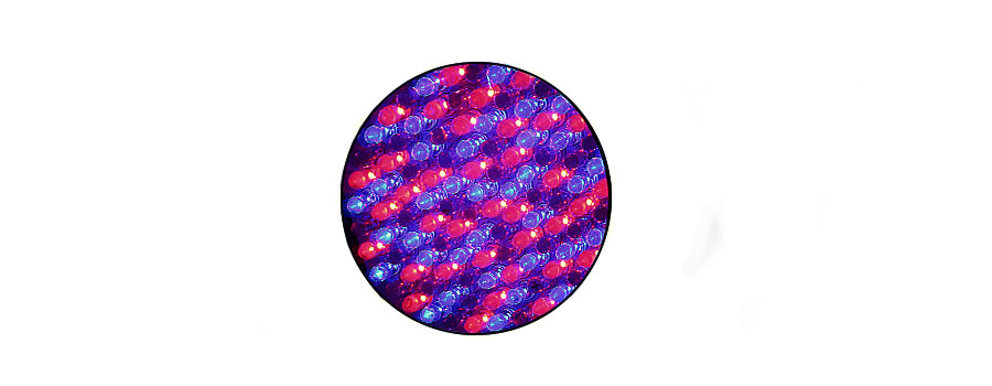 STANDARD (“PURPLE”) LED
