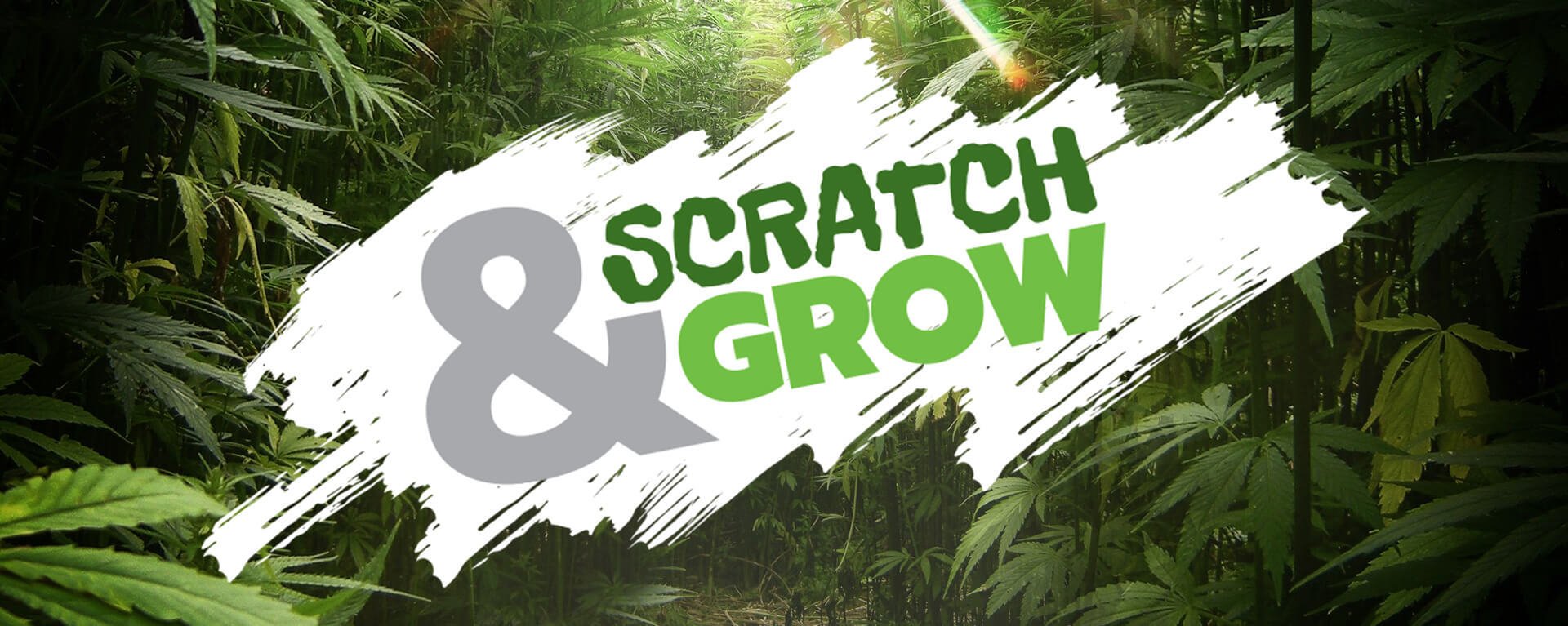 Scratch Card Scratch Card