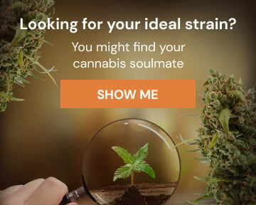 Cannabis Seedfinder