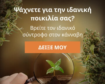 Cannabis Seedfinder