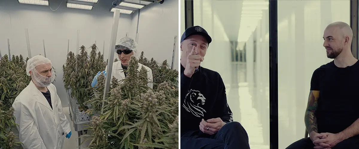 An illustration of Simon from CRIC Labs discussing his research role with Max, set against a high-tech indoor grow space with cannabis plants, data collection tools, and software platforms, on a green background.