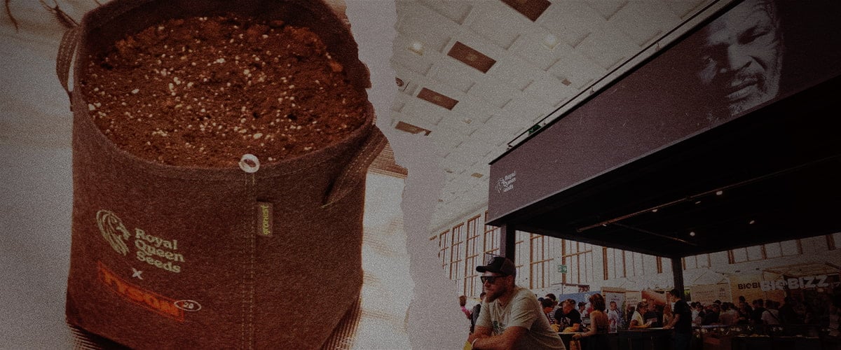 Sowing the Future – Royal Queen Seeds x Tyson 2.0 Grow Bag at Cannabis Expo Fabric grow pot from Royal Queen Seeds x Tyson 2.0 filled with soil, alongside a busy cannabis trade fair stand featuring Mike Tyson's image and branding.