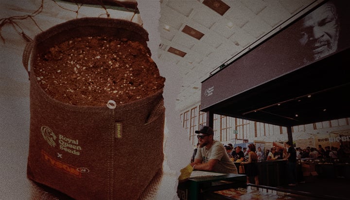 Sowing the Future – Royal Queen Seeds x Tyson 2.0 Grow Bag at Cannabis Expo Fabric grow pot from Royal Queen Seeds x Tyson 2.0 filled with soil, alongside a busy cannabis trade fair stand featuring Mike Tyson's image and branding.
