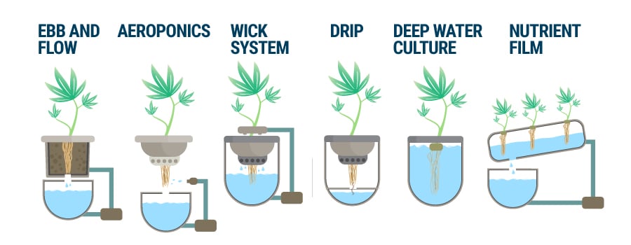 Hydroponic Growing System