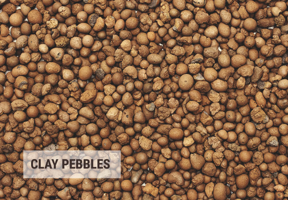 Tips To Reuse Clay Pebbles Or Perlite