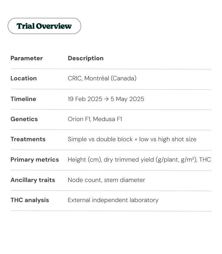 Cannabis trial overview at CRIC: location, dates and methodology Trial overview table showing CRIC location, timeline, cannabis genetics, treatments, and primary research metrics