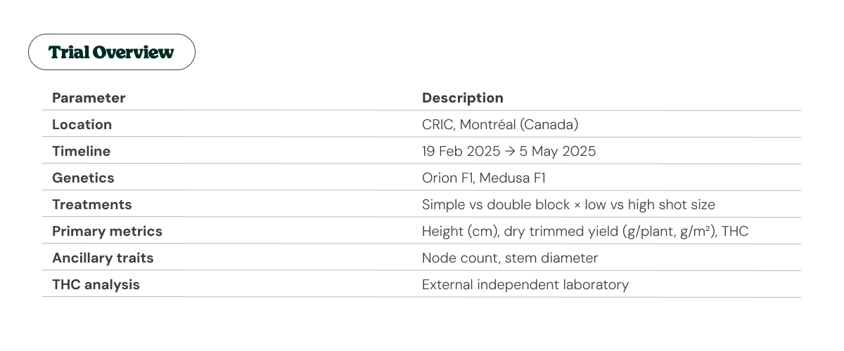 Cannabis trial overview at CRIC: location, dates and methodology Trial overview table showing CRIC location, timeline, cannabis genetics, treatments, and primary research metrics