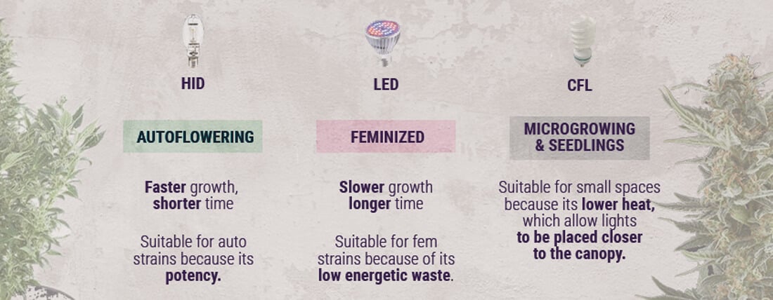 Types-of-Light-when-growing-Cannabis