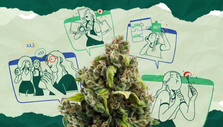 Cannabis Experiences for Travellers: A Guide Explore the diverse range of cannabis experiences for tourists, including coffee shop culture, wellness activities, and food-related tourism.