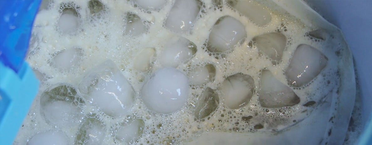 Bubble Hash vs Dry Ice Sift — What Is the Difference? Bubble Hash vs Dry Ice Sift — What Is the Difference?