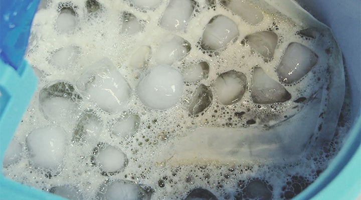 Bubble Hash vs Dry Ice Sift — What Is the Difference? Bubble Hash vs Dry Ice Sift — What Is the Difference?