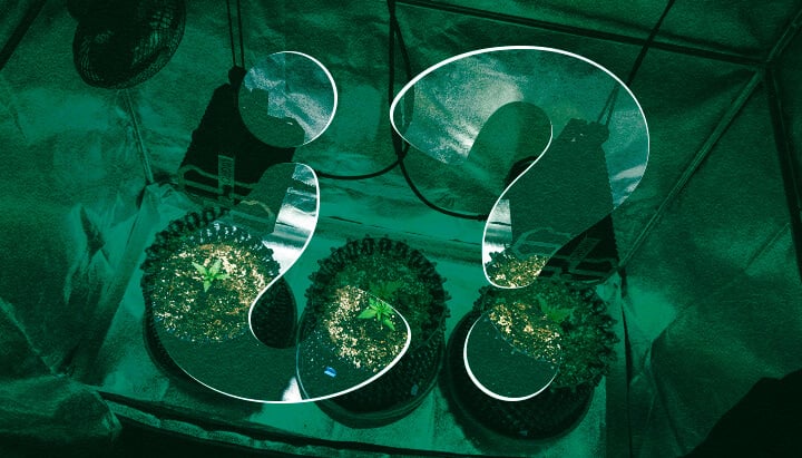Why Use a Grow Tent for Cannabis? Benefits of Indoor Cultivation Enclosures Discover the benefits of using a grow tent for indoor cannabis cultivation. Explore advantages like optimized climate control, enhanced light efficiency, superior pest prevention, and increased privacy for your cannabis plants.