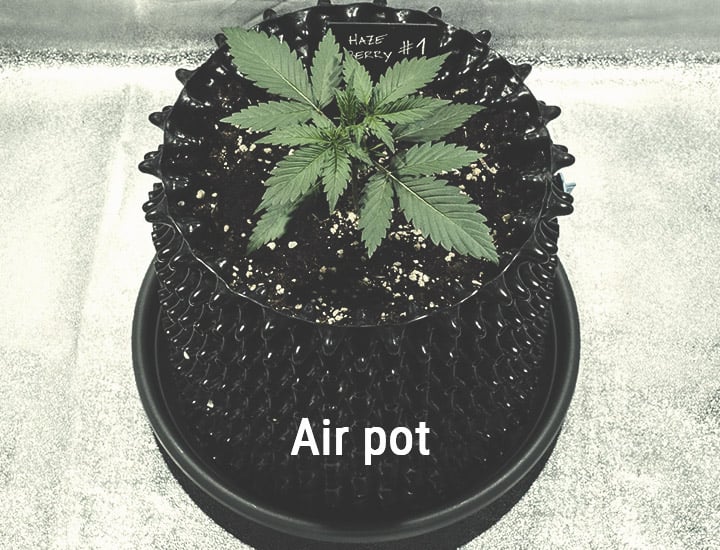 Air Pot