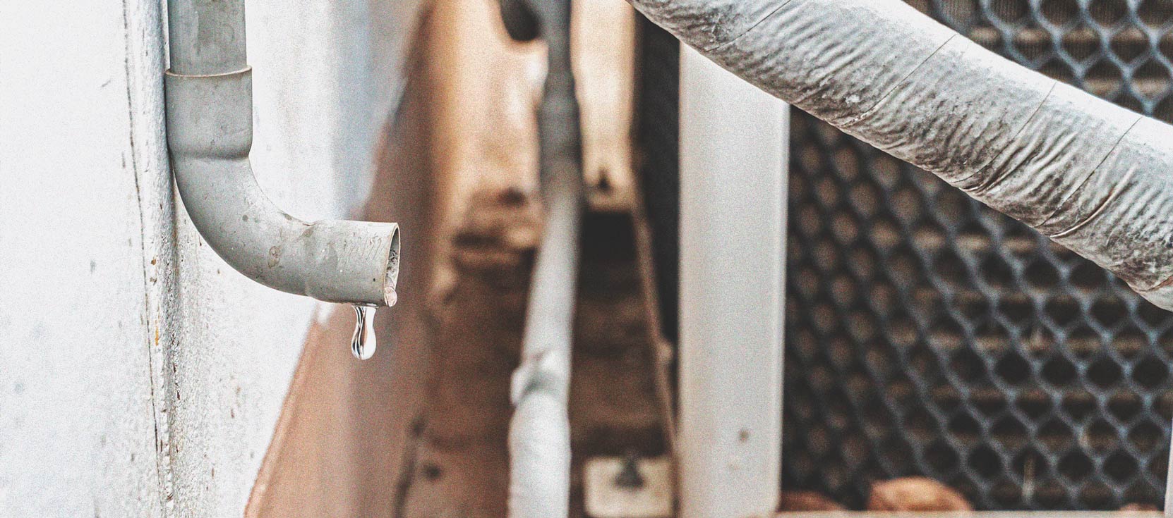 Cannabis And Water Quality Part 3: Choosing A Water Source Cannabis And Water Quality Part 3: Choosing A Water Source