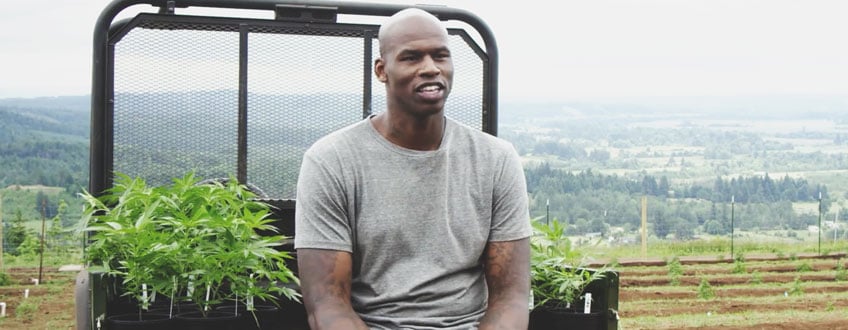 Al Harrington Al Harrington