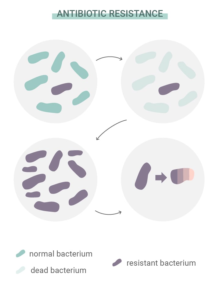 What Is Antibiotic Resistance?