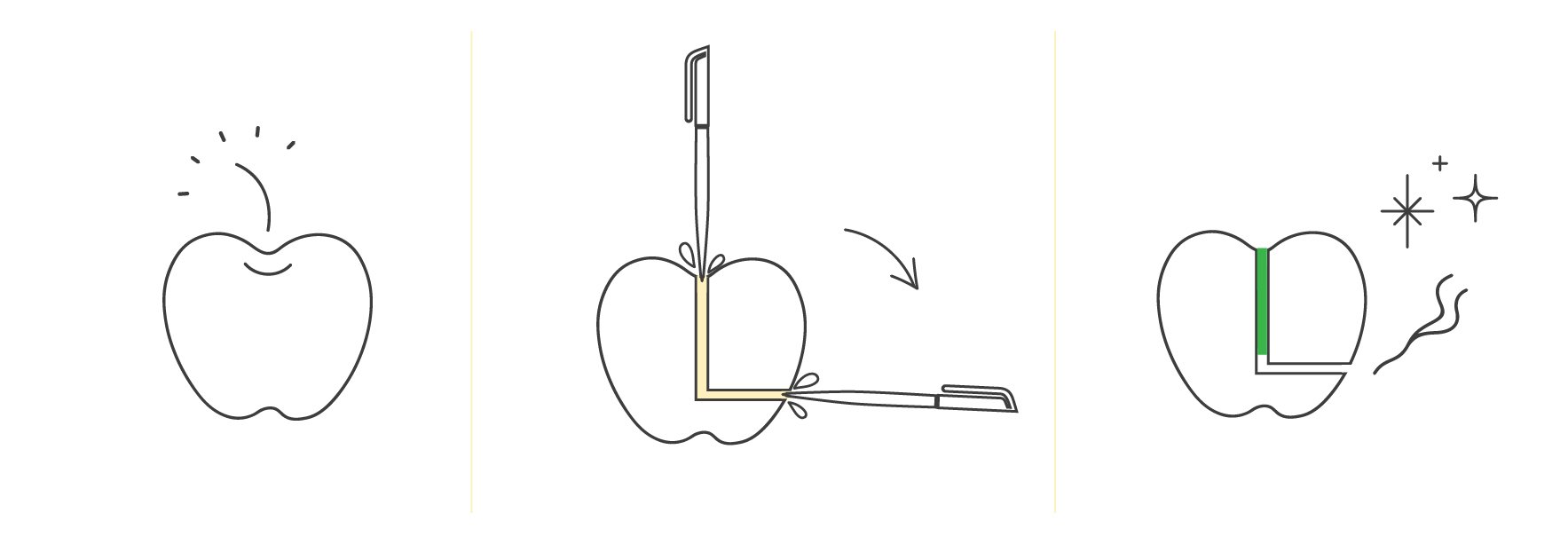 How to Make Homemade Bong How to Make Homemade Bong