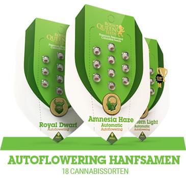 autoflowering-cannabis-hanfsamen