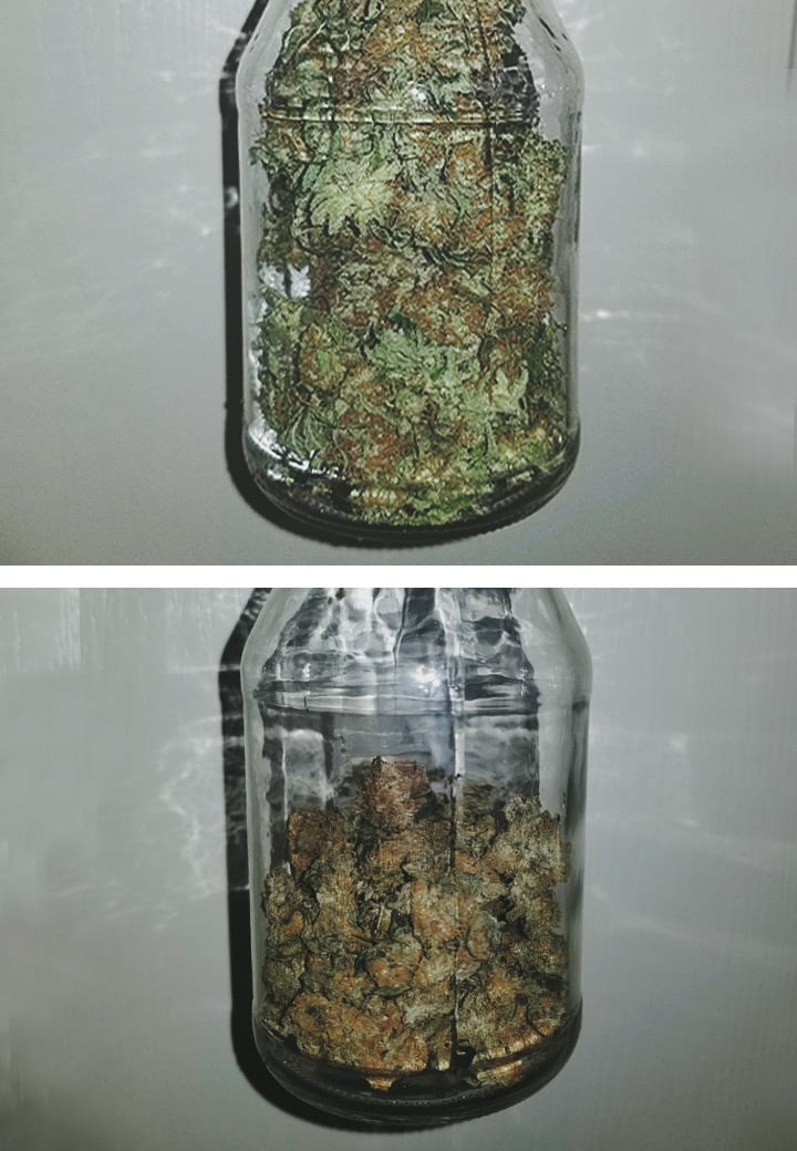 Cannabis Water Curing Cannabis Water Curing
