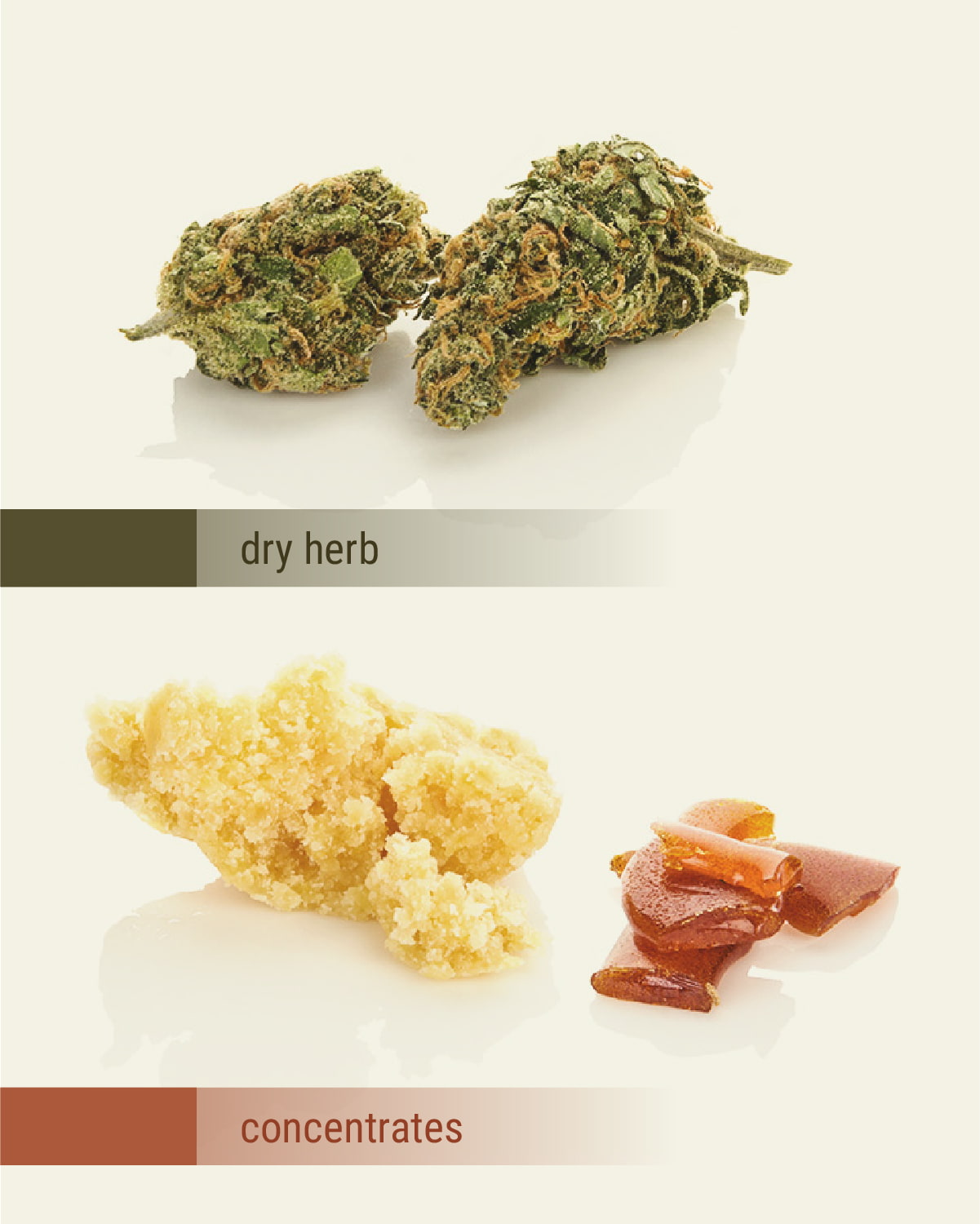 Herb vs Concentrate Herb vs Concentrate