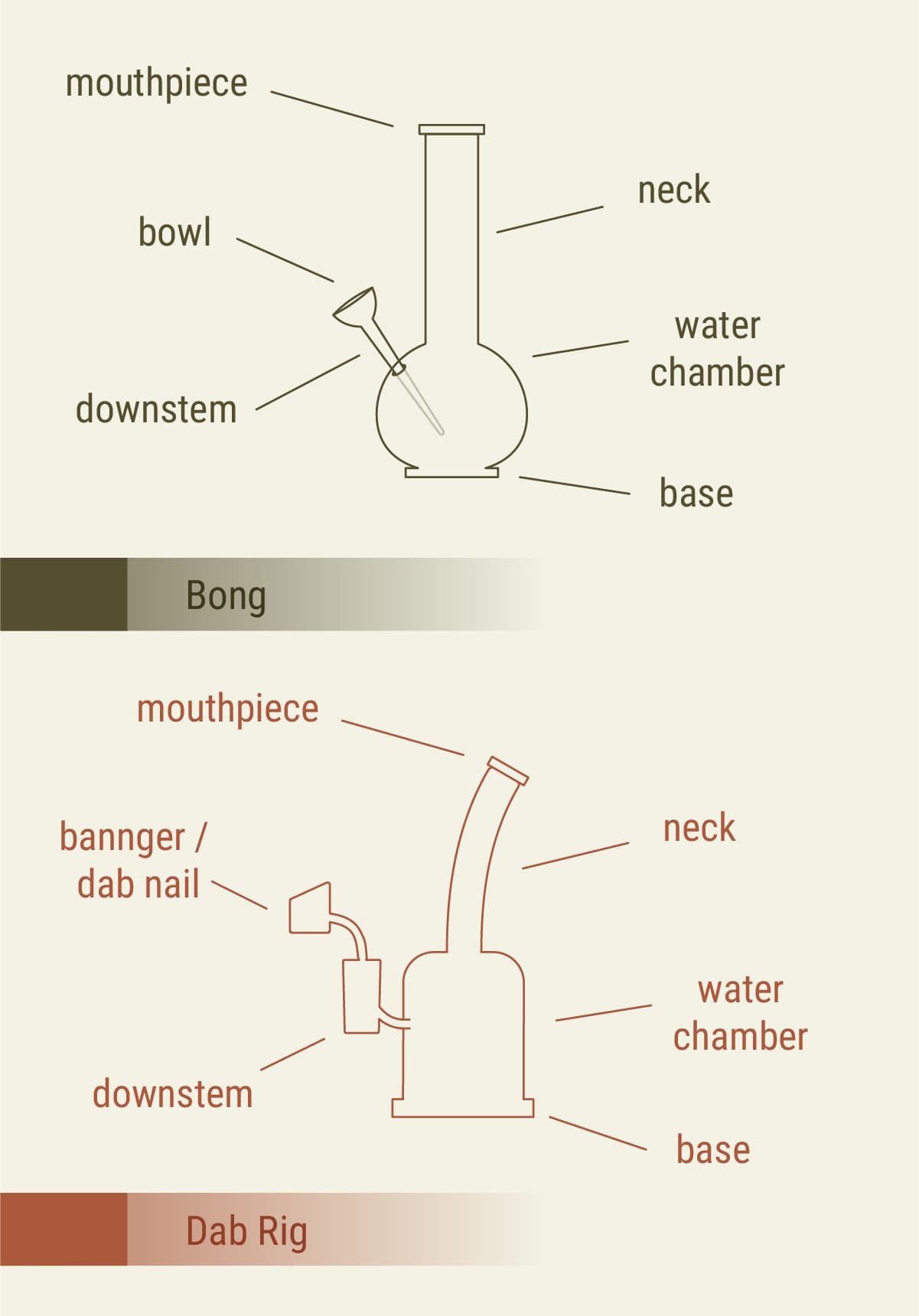 Dab Rig vs Bong: Design